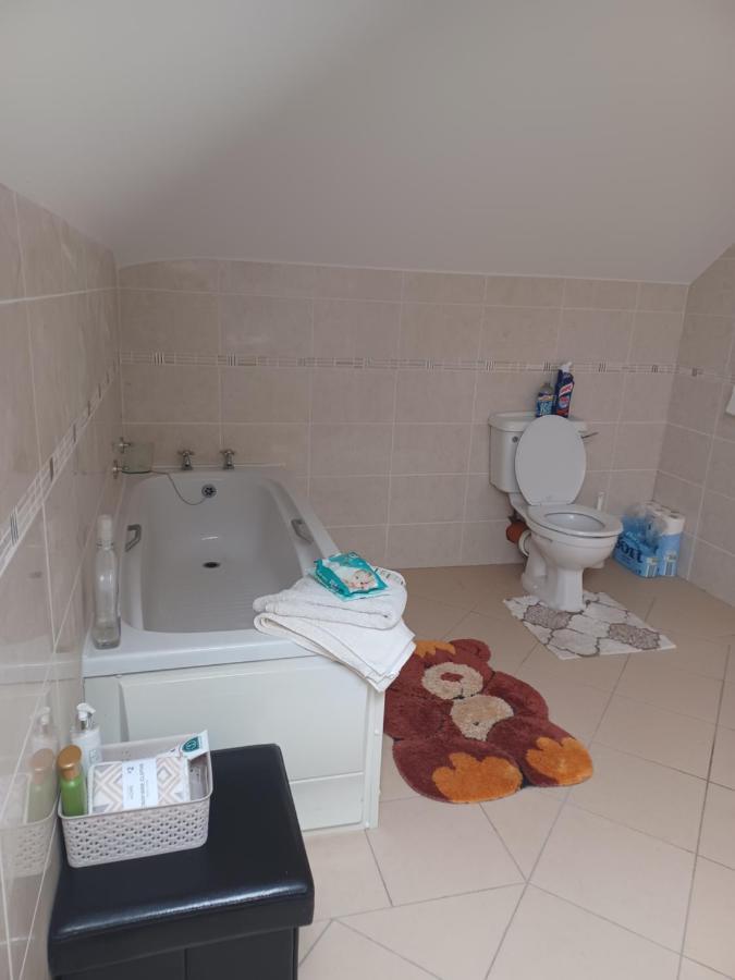 Apartmán Country Haven Eircode H54 Ak31 Galway Exteriér fotografie