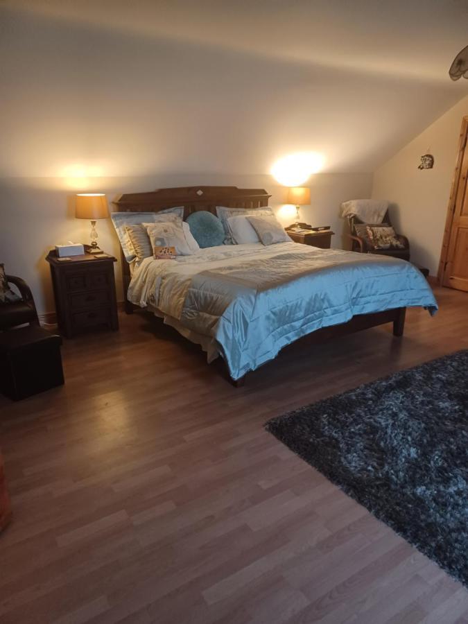 Apartmán Country Haven Eircode H54 Ak31 Galway Exteriér fotografie